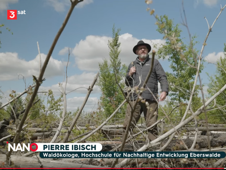 3Sat – Nano, Beitrag vom 3.7.2025: Das Forschungsprojekt Pyrophob untersucht Waldbrandflächen in Treuenbrietzen in Brandenburg 3Sat – Nano, Beitrag vom 3.7.2025: Das Forschungsprojekt Pyrophob untersucht Waldbrandflächen in Treuenbrietzen in Brandenburg