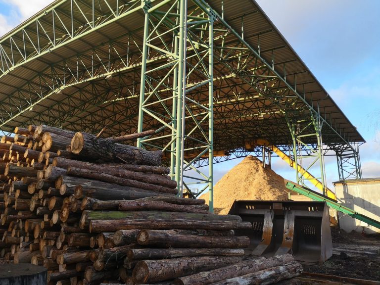 Holzkraftwerk Eberswalde, 5.1.2023