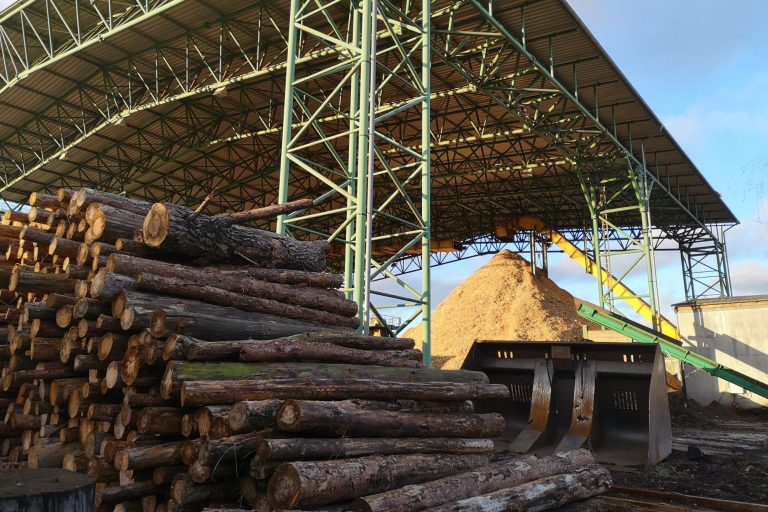 Waldgipfel 2025 von Wohllebens Waldakademie