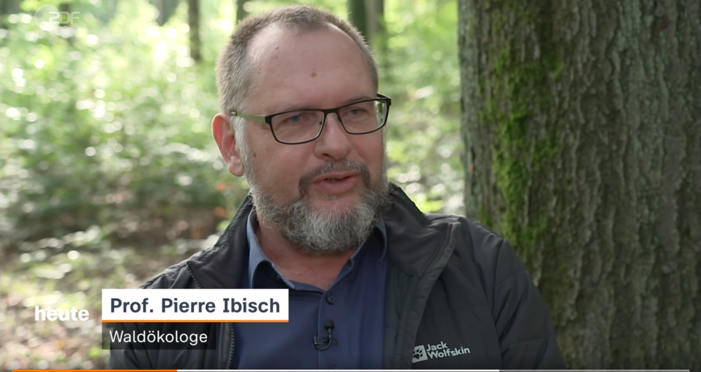 zdf heute,  Beitrag vom 23.9.2025: Pierre Ibisch stellt den Grün-Feutch-Kühl-Index des Econics Institutes vor