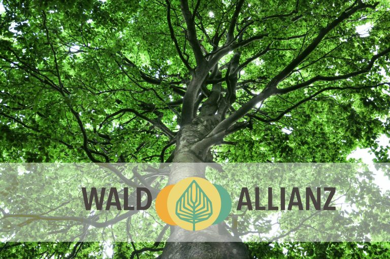 1. Tagung der Wald-Allianz im Volkshaus in Meiningen, Vorstellung der Partnerwälder, 27.04.2026, ©Wald-Allianz