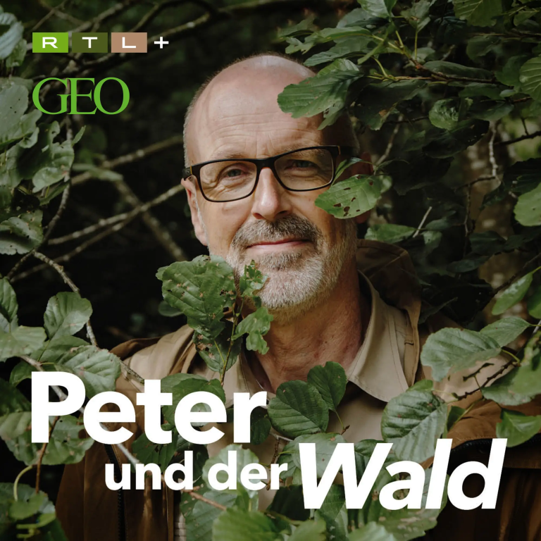 Peter und der Wald
Der Podcast von Peter Wohlleben, RTL, GEO & Wohllebens Waldakademie