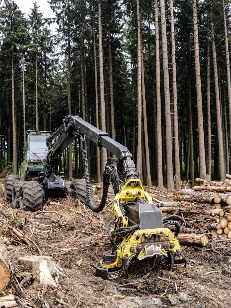 Konventionelle Forstwirtschaft mit Harvester im Fortsamt Neuhäusel bei Koblenz, 2020