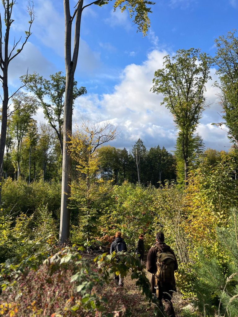 Studierende des Studiengang Sozialökologisches Waldmanagement auf Sturmwurffläche im Stadtwald Eberswalde, 2024