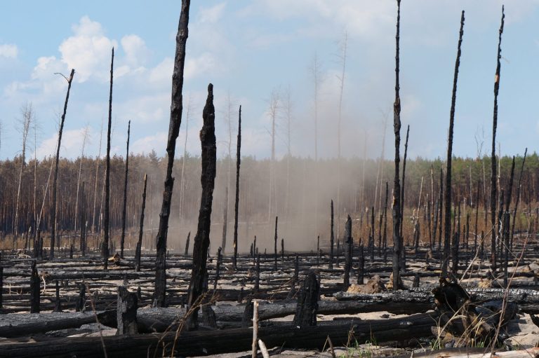 Waldbrandfläche in Treuenbrietzen, Brandenburg, 27.06.2022, Foto: Pierre Ibisch Waldbrandfläche in Treuenbrietzen, Brandenburg, 27.06.2022, Foto: Pierre Ibisch