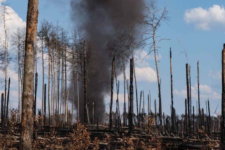 Waldbrandfläche in Treuenbrietzen, Brandenburg, 27.06.2022, Foto: Pierre Ibisch