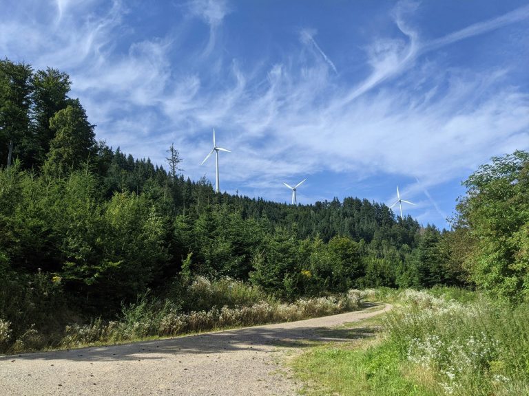 Windkraftanlagen im Wald, Foto via unsplash Windkraftanlagen im Wald, Foto via unsplash
